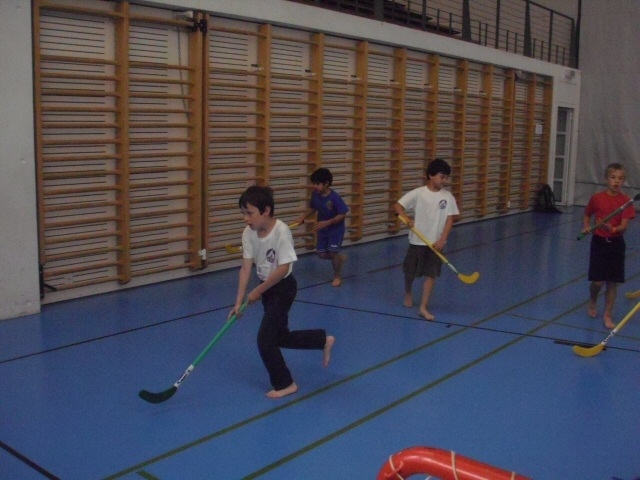 Village Camps International Summer Camp VDC Geneva 2016-08-12 https://www.villagecamps.com/journals_admin/images/306-23-Picture 025.jpg